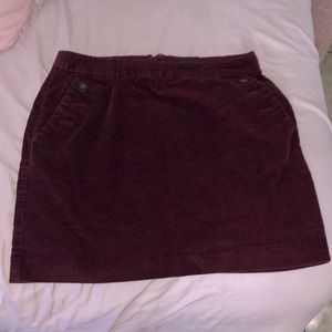 Banana Republic Skirt